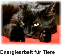 Energiearbeit für Tiere
